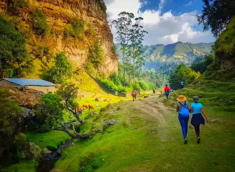 Wonchi Crater Lake Day Tour | Emmanuel Ethiopia Adventure Tours ...
