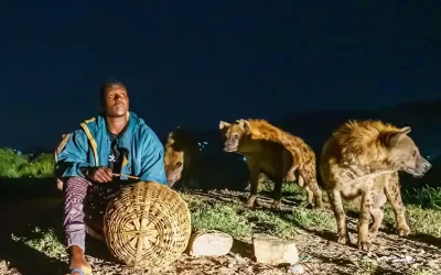 4-Day Dire Dawa & Harar Walled City Tour with Hyena Man Experience