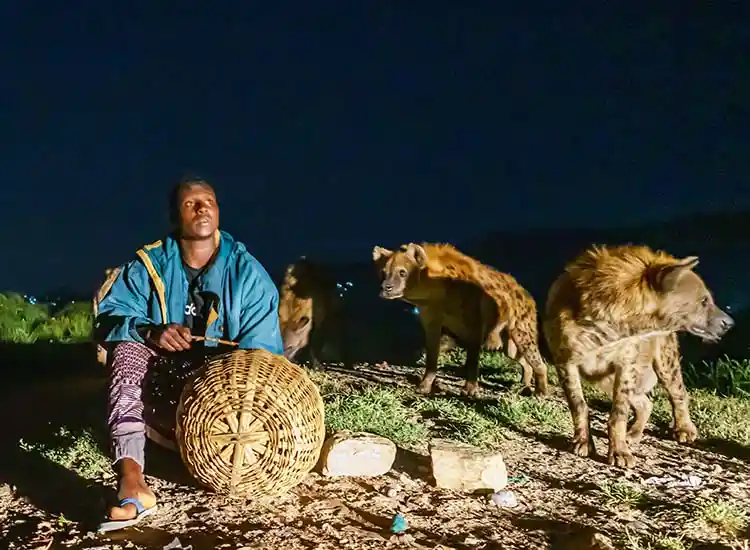 4-Day Dire Dawa & Harar Walled City Tour with Hyena Man Experience