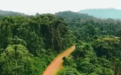 14-Day Ethiopia Tour to Kaffa Biosphere & Simien Highlands